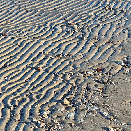 Frische Brise 1301 *
